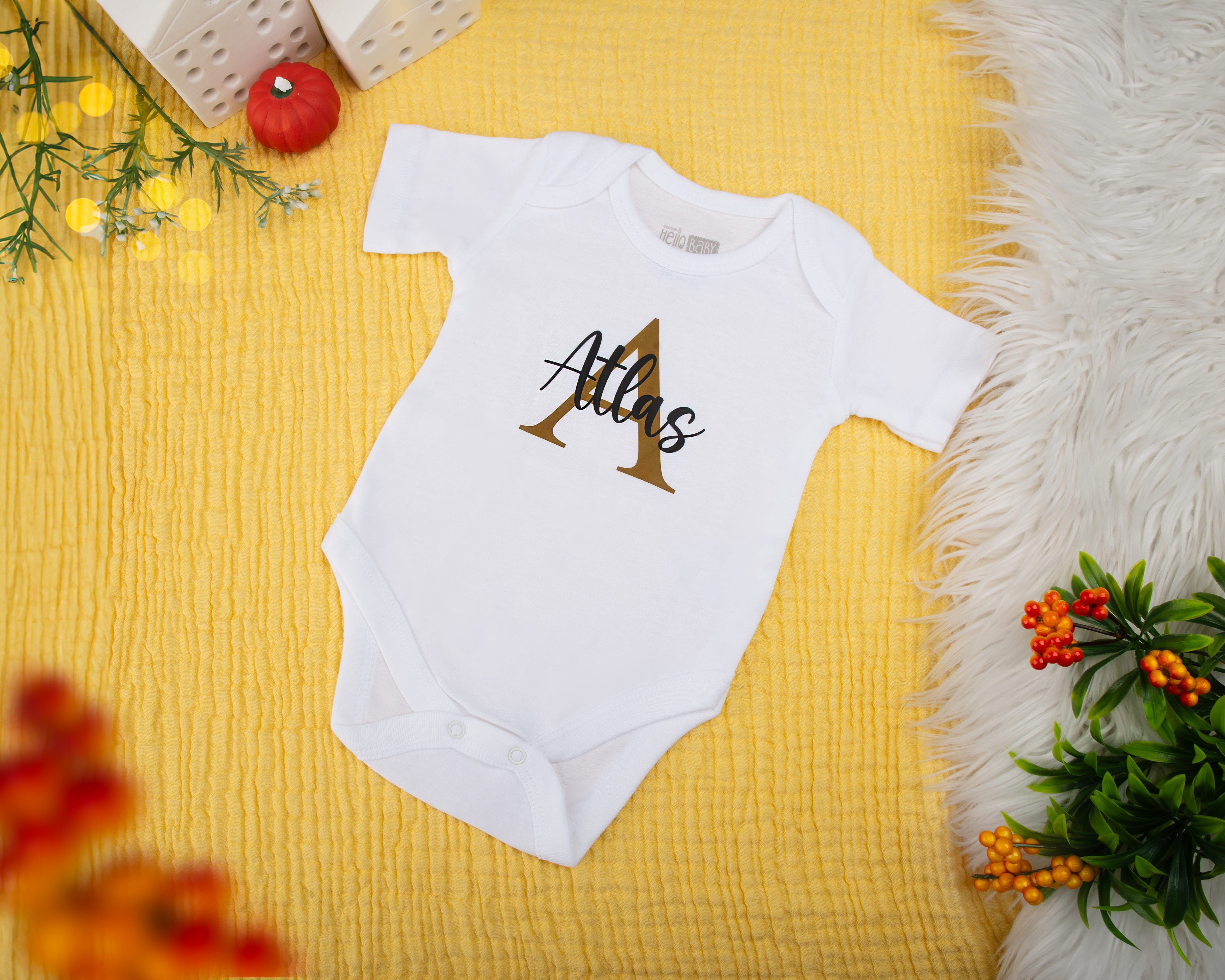 Tekstil & Ev Dekorasyonu